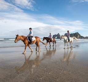 Abel Tasman Horse Trekking