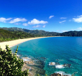 Abel Tasman Dive