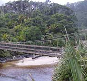 Heaphy Track