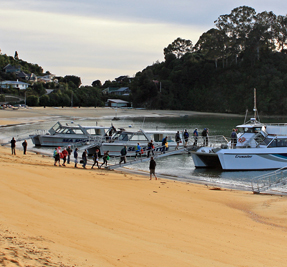 Abel Tasman Sea Shuttles