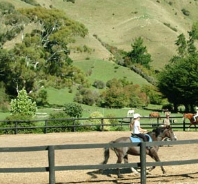 Stonehurst Farm Horse Treks