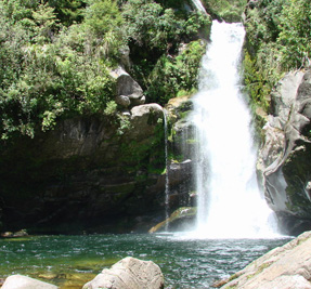 Wainui Falls Track